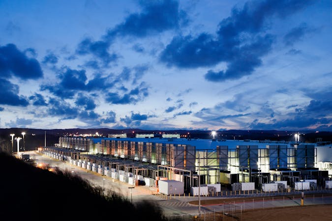 idi001geoffroyine.jpg (3000x2000)