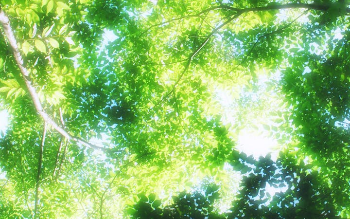 image40231920x1200.jpg (1920x1200)