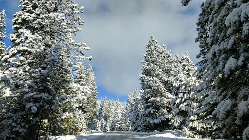 img20161224104933.jpg (4048x2277)