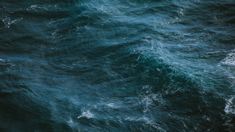 ivanacajina638159unsplash.jpg (2560x1440)