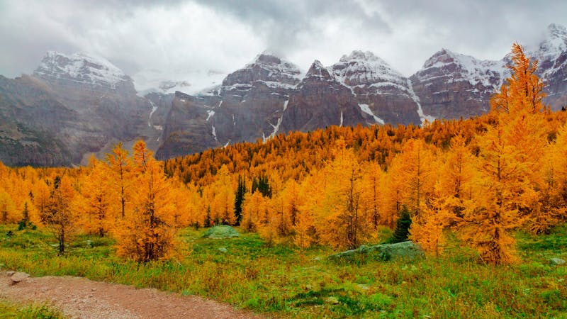 joshuaworonieckionm0cbkyuounsplash.jpg (6000x3375)