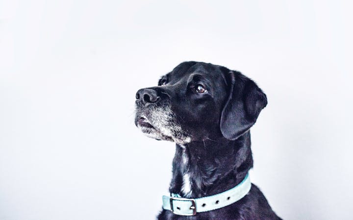 kenreid290754eyed.jpg (1920x1200)