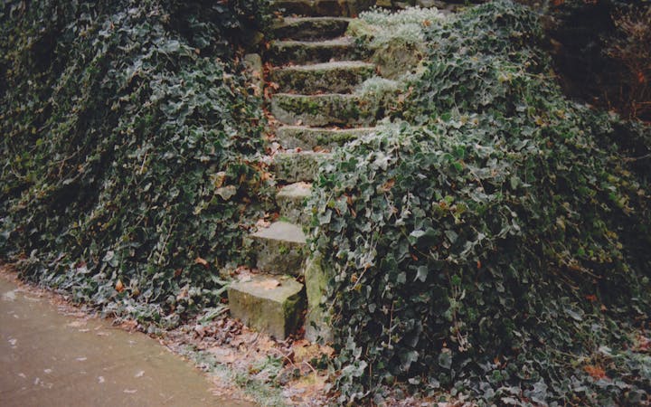 kimhamletwallpaper1920x1200.jpg (1920x1200)