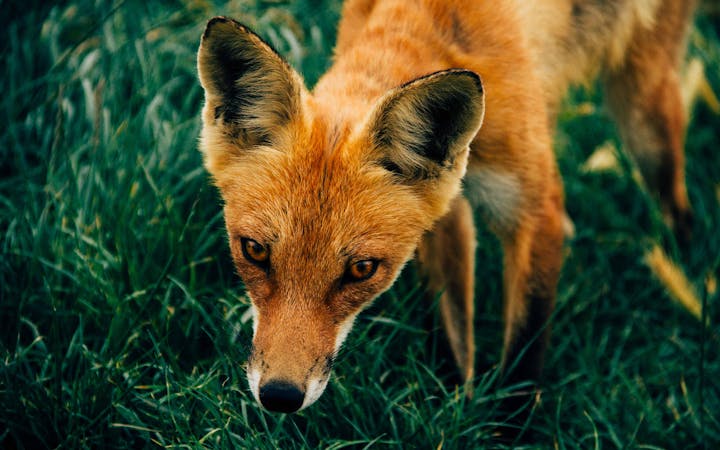 kyleglenn354157.jpg (2560x1600)