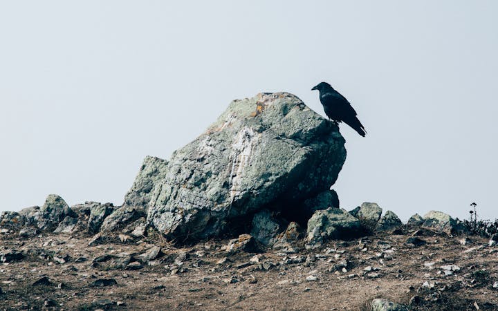 kyleglenn402478.jpg (2560x1600)