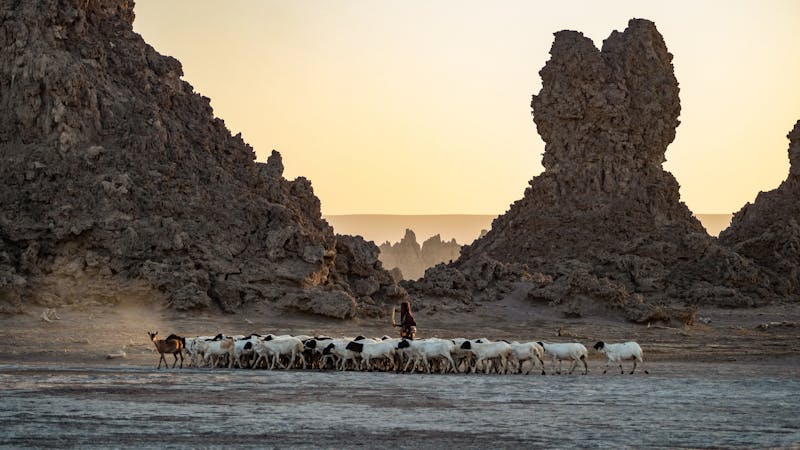 leslyderksenvmfkwrqkokaunsplash.jpg (5184x2916)