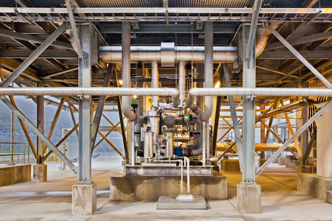 lnr028anisyltanystomatous.jpg (3000x2000)