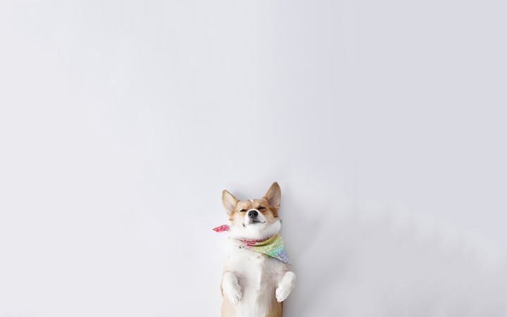 lwkrxwytveridicous.jpg (1920x1200)