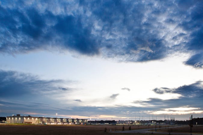 mnk004matronlydipleura.jpg (3001x2000)