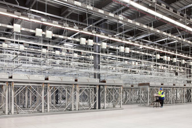 mnk019confusedtroutbird.jpg (3000x2000)