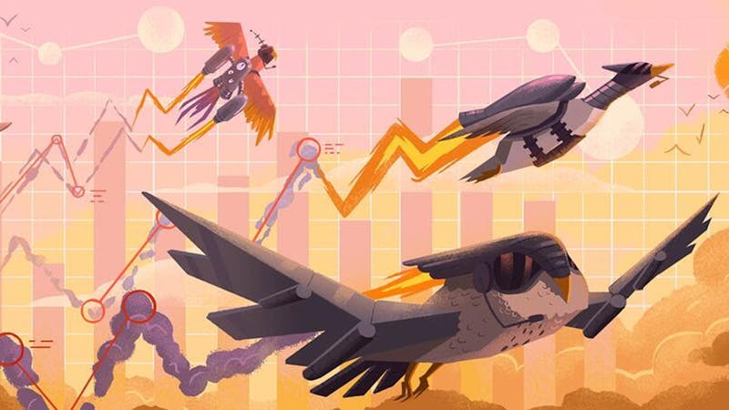 monitoringbirds.jpg (2560x1440)