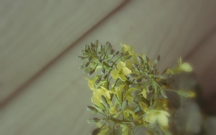 nttraplosionbrideknot.jpg (1920x1200)