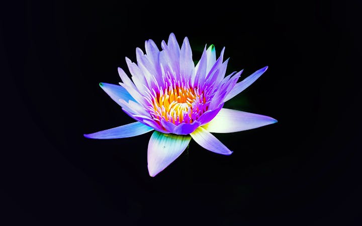 photo145395599444436bcd2f979fb.jpg (1920x1200)