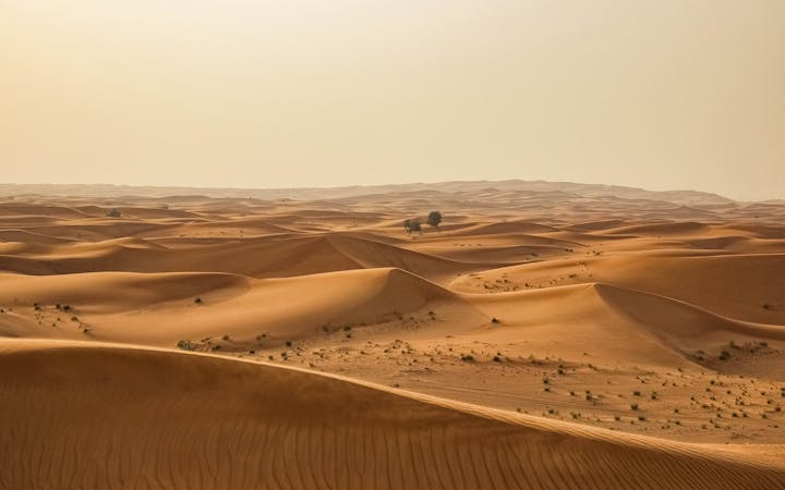 photo14564048365920f075c95d363.jpg (1920x1200)