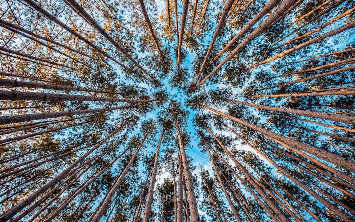 photo1456750695228762f8db965a4.jpg (1920x1200)