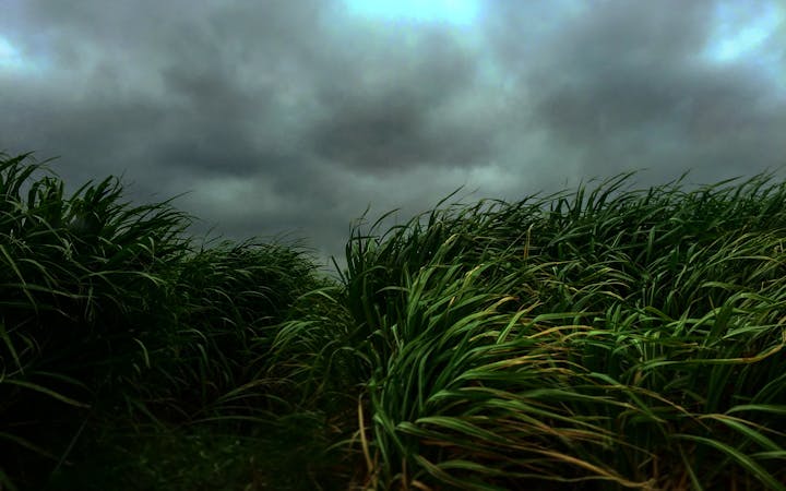 photo1468486229682fb9fb618a067.jpg (1920x1200)