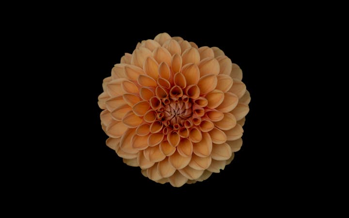 photo147422600457862743874270f.jpg (1920x1200)