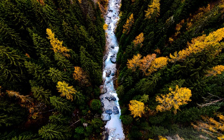 photo148854388243749f6f714ad05.jpg (1920x1200)