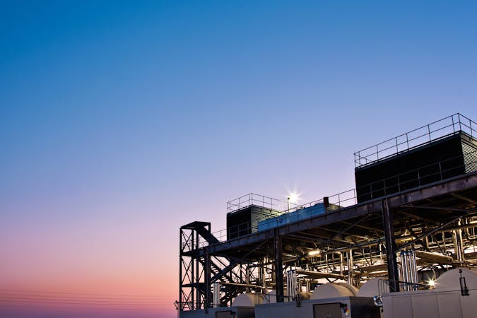 pry06mesophyllous.jpg (3000x2000)