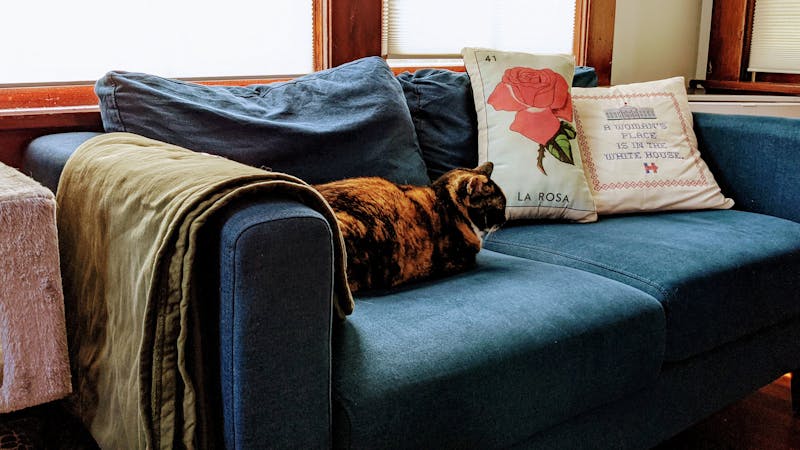 pxl20210515171033825.jpg (3308x1861)