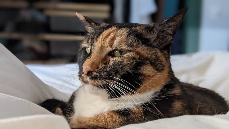 pxl20220226145345936portrait.jpg (3840x2160)