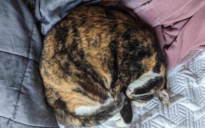 pxl20230406154339887portraitoriginal.jpg (4080x2550)