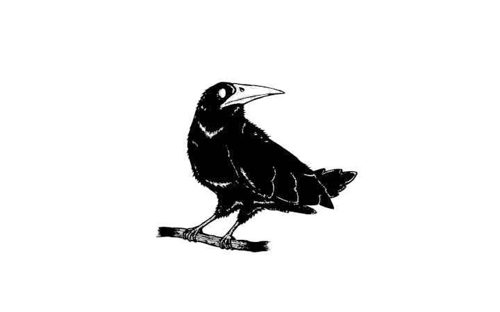 ravenworthiestagenesic.jpg (1920x1200)