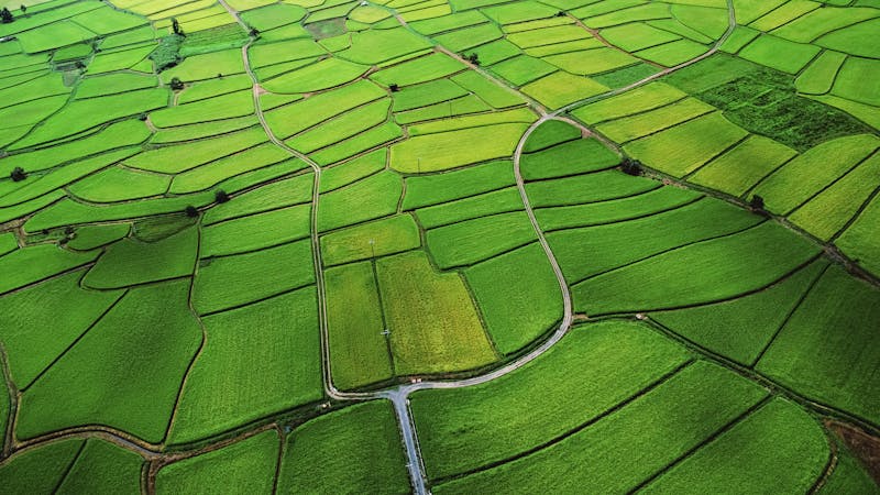 ricepaddylegoastomacher.jpg (5120x2880)