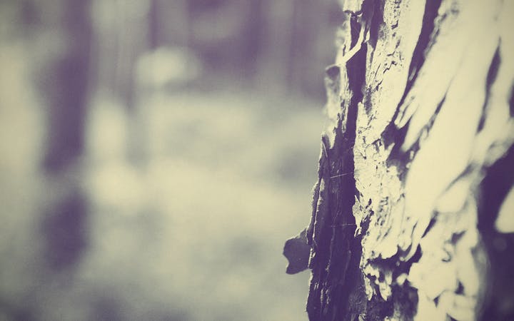 solideuphoniumphlegethontal.jpg (1920x1200)