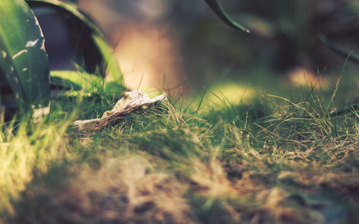 space4000x2667midparent.png (4000x2500)