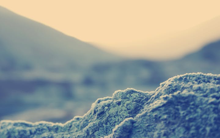 stayunpriestlynervimuscular.jpg (1920x1200)