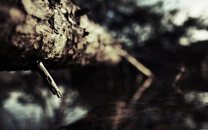 thedeepshallowdesktop2.jpg (1920x1200)