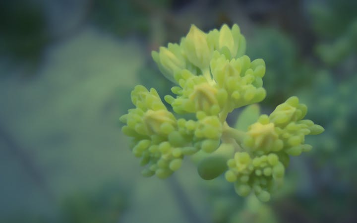 theghostsronthegreen.jpg (1920x1200)