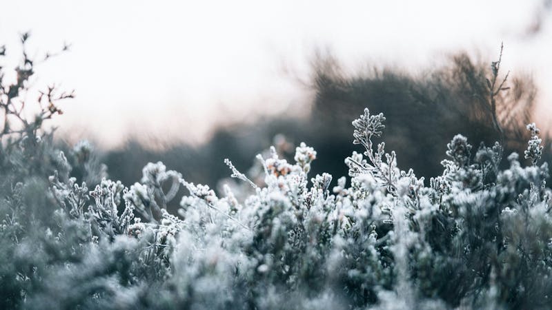 tydsvhzrc88cling.jpg (8256x4644)