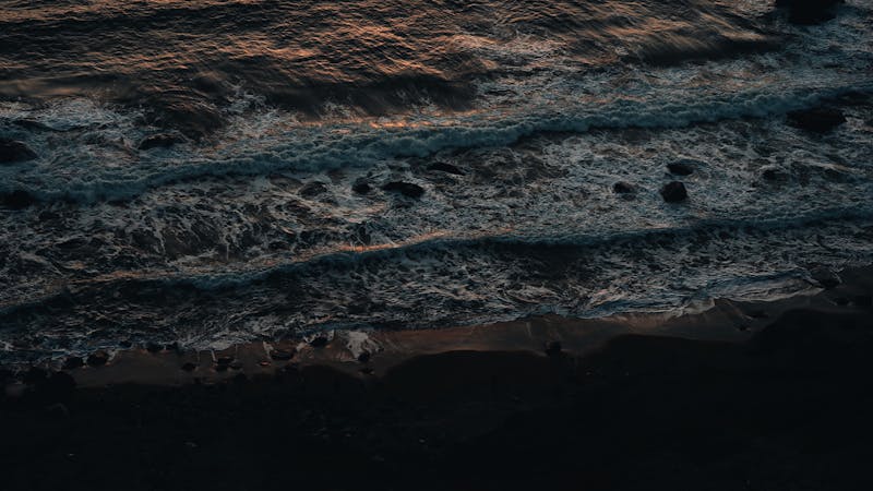 v091saivr1kbuextirpator.jpg (3840x2160)